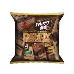 FUTABA - Dandy 奇脆朱古力雪糕批家庭裝 (100ml x 4pcs)